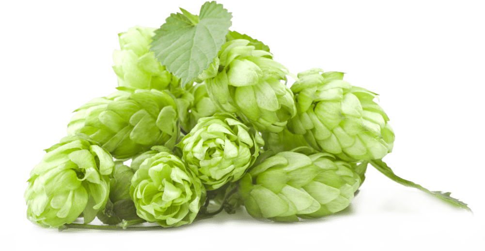 Double IPA